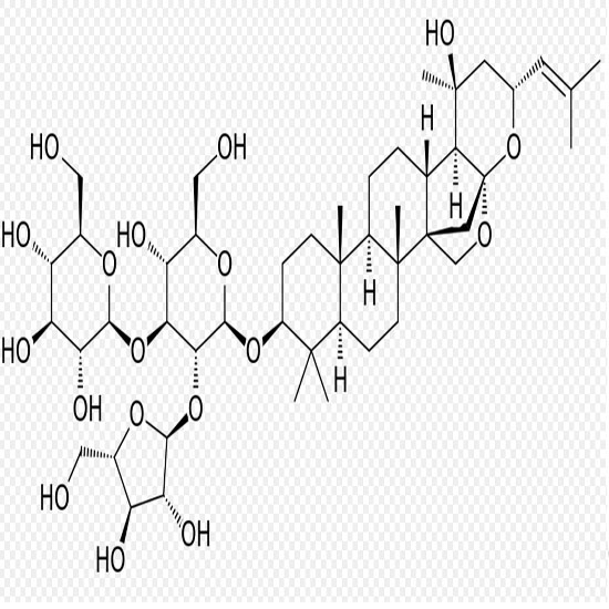 Bacopa Monnieri Extract