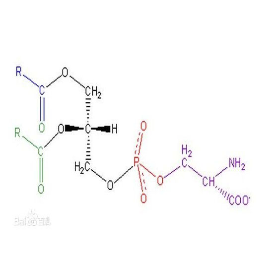 Phosphatidylserine