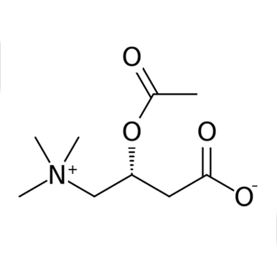 乙酰左旋肉碱